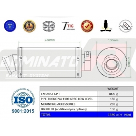 Exhaust silincer Dominator GP1 LOW LEVEL  APRILIA Tuono V4 R APRC 2011-2014 