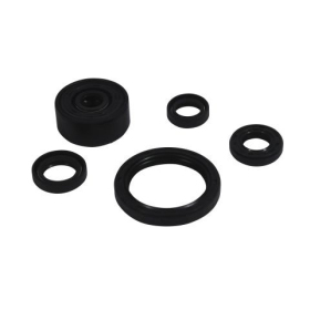 Winderosa (vertex) set (set) of engine seals Yamaha WR 250 R 18–22