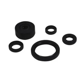 Winderosa (vertex) set (set) of engine seals Yamaha WR 250 R 18–22