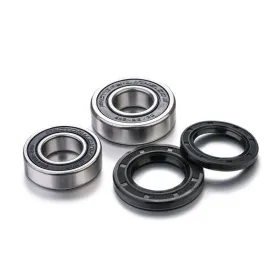 FACTORY LINKS Galinio Rato guolių kompl. Fantic / Yamaha 125-450 99-24
