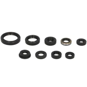 Winderosa Engine gaskets set (quantity per set 10 pcs) Kawasaki KX / KX-F 450 06-15