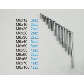 Bolt set M6 31pcs