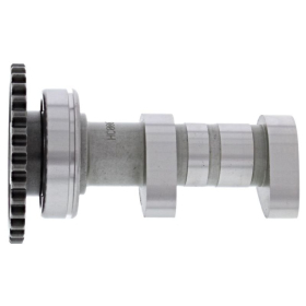HOT CAMS Intake Camshaft Yamaha WR 450F 16-18