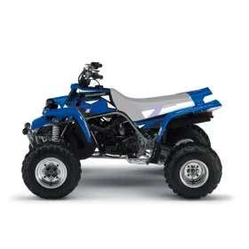 Blackbird Grafikos lipdukai Dream 2 YAMAHA YFS 200 BLASTER 88-06