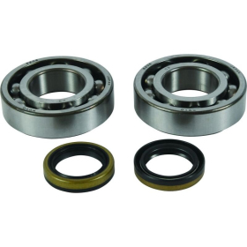 ALL BALLS Crankshaft Bearing & Oil Seal Kit Beta EVO 125-300 13-24