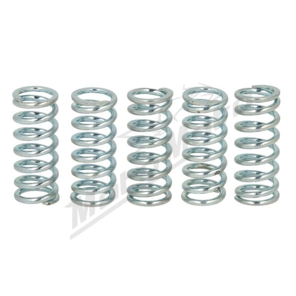 FERODO Clutch Spring Set Yamaha DT / FS / RD / YZ / TY / TT-R / XT / XTZ / FZR 50-400cc 1974-2007