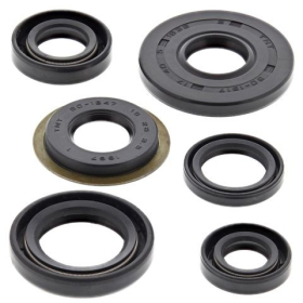 Winderosa (vertex) set (set) of engine seals Yamaha TW 200 87–21