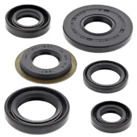 Winderosa (vertex) set (set) of engine seals Yamaha TW 200 87–21