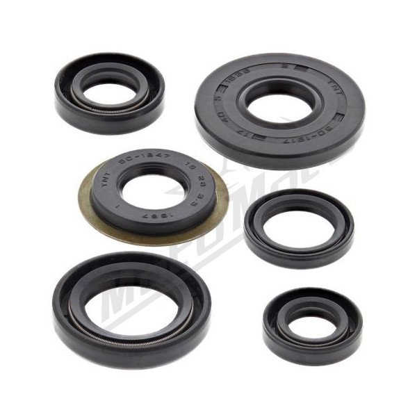 Winderosa (vertex) set (set) of engine seals Yamaha TW 200 87–21