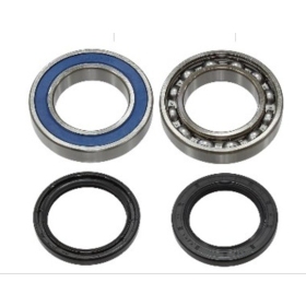 Sno-X Chain case bearing kit Arctic Cat Bearcat / F / M / Pantera / Riot / XF / ZR 09-22