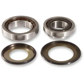 PIVOT WORKS Steering Stem Bearing Kit Honda GL / RVT 1000-1800 00-24