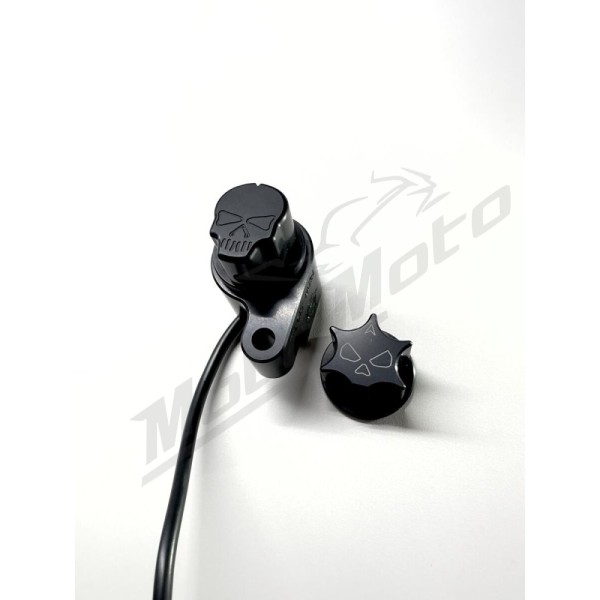 RBW SKULL RBW Skull Harley Davidson FLDE / FLFB / FLHC / FLHR / FLHTK / FLSL / FLTRU / FLTRXS / FXBR / FXSB / FXST 1750-1977 16-26
