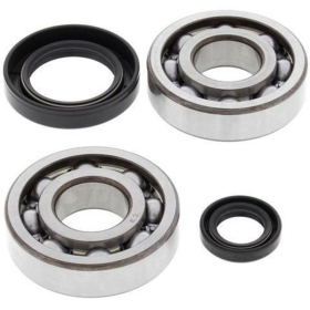 ALL BALLS Crankshaft Bearing & Oil Seal Kit HONDA CR 500 87-01