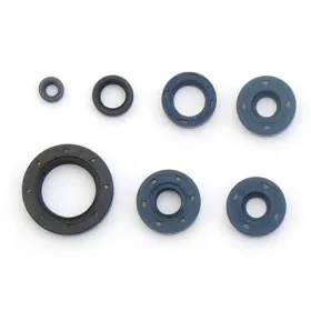 Athena Engine gasket set BMW / Bombardier 650 93-08