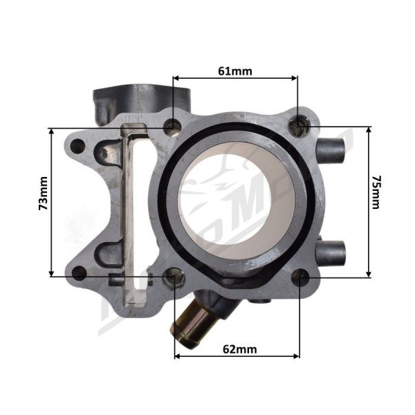 Maxtuned Cylinder set. Honda PCX 150 13-18