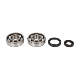 4Ride Crankshaft Bearing Kit SUZUKI RM 125 1989-2008