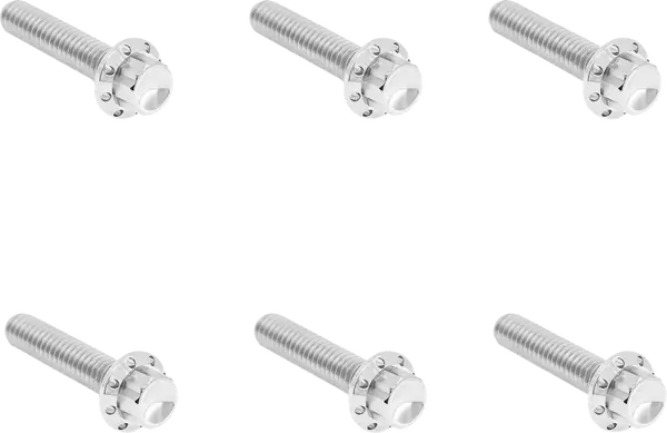 Arlen Ness Set Of Bolts For The Transmission Side Cover Chrome Harley Davidson FLFBS / FLHCS 1923-1977cc 23-25
