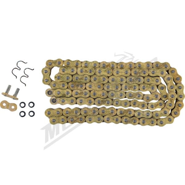 REGINA 520 HPE Series Chain 118 Links 