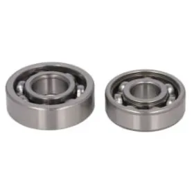 Hot Rods Repair kit for balance shaft bearings Yamaha YFM / YXR 350-450cc 03-14