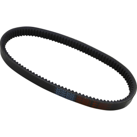Dayco HP 3021 variatoriaus diržas Polaris / Yamaha 250-570 76-11