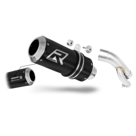 BMW S1000R 2017-2020 EU Approved Dominator Exhaust Silencer GP BLACK + dB killer