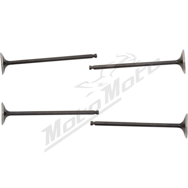 NARAKU Vožtuvų kompl. 21/23mm Beta / Daelim / Rieju / Yamaha 125 06-20