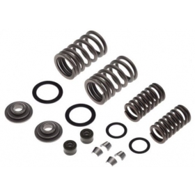 Valve spring, rubber, rentainer kit BARTON / GB MOTORS/ JUNAK / ROMET / ZIPP 125cc