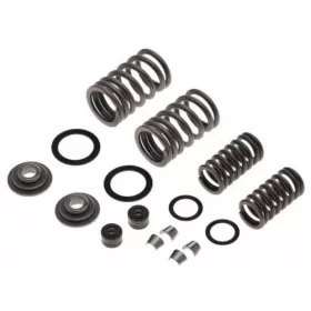 Valve spring, rubber, rentainer kit BARTON / GB MOTORS/ JUNAK / ROMET / ZIPP 125cc