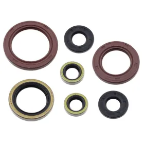 Psychic Engine Seals Set Gas Gas / Husqvarna 250-350cc 16-24