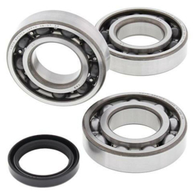ALL BALLS Crankshaft Bearing & Oil Seal Kit Polaris / Yamaha 400-600 90-14