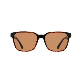 Spect Red Bull Eliot Sunglasses Shiny Havana w Brown lens