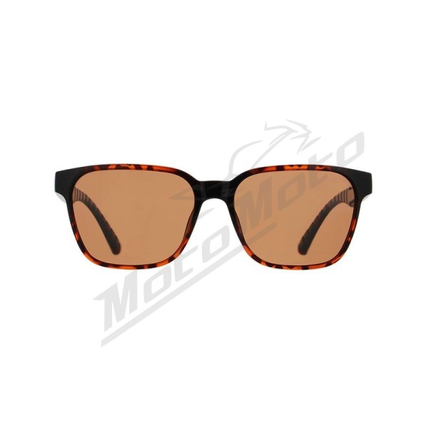 Spect Red Bull Eliot Sunglasses Shiny Havana w Brown lens