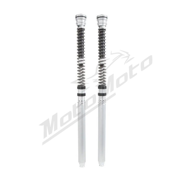 Ohlins NIX 22 priekinės šakės kasetės Triumph Daytona 675-765cc 13-21