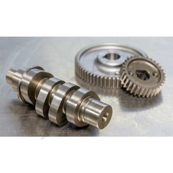 S&S CYCLE 540G Camshaft Kit Harley Davidson FLDE / FLFB / FLFBS 1750-1977cc 17-23