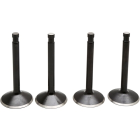 KIBBLEWHITE Black Diamond™ Engine Valve Kit Harley Davidson FL / FLB / FLFB / FLH / FLHFB / FX / FXE 1200 66-77