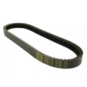Dayco Drive Belt 872x23mm