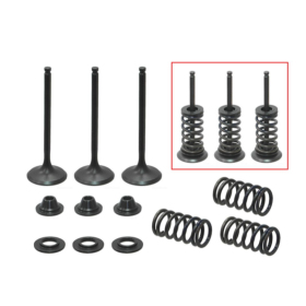 Valve set with springs and washers. Yamaha / GasGas 450cc 03-20