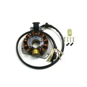 ELECTREX Generatorius Husaberg / KTM 125-300cc 05-16