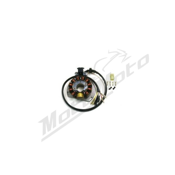 ELECTREX Stator Husaberg / KTM 125-300cc 05-16