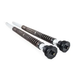 OHLINS NIX30 FGK 245 Šakės kasečių kompl. Triumph Daytona 660 ABS 24->