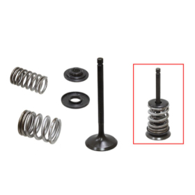 Psychic intake valves set (34x6x93. 8mm) Yamaha TW / TT-R 200-230cc 87-16
