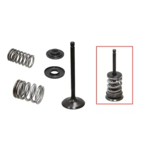 Psychic intake valves set (34x6x93. 8mm) Yamaha TW / TT-R 200-230cc 87-16