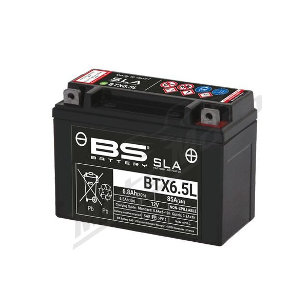 BS BATTERY SLA Factory-Activated AGM Maintenance-Free Batteries