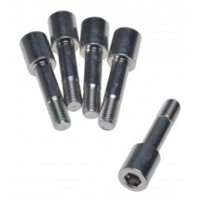 Bolts M10x1,25 (length 41mm) 5pcs