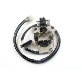 ELECTREX Stator YAMAHA YZ 125 05-20