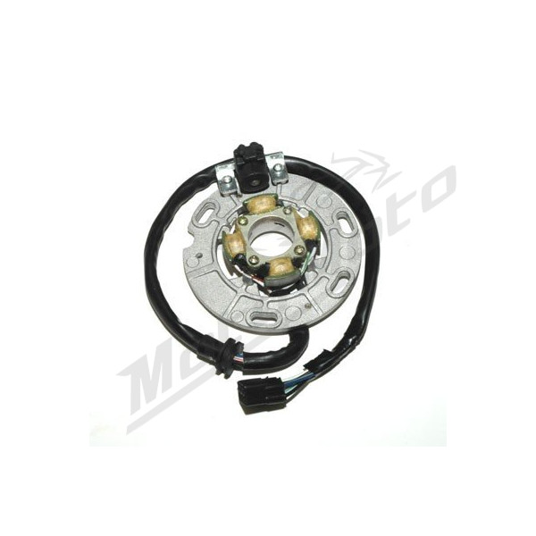 ELECTROSPORT Stator Yamaha YZ 125 96-04