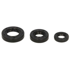 Winderosa Engine gaskets set Honda CRF 230 03-17