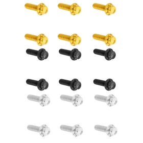 ARLEN NESS Transmission Top Cover Titanium 12-Point Bolt Kit 12pcs. M8