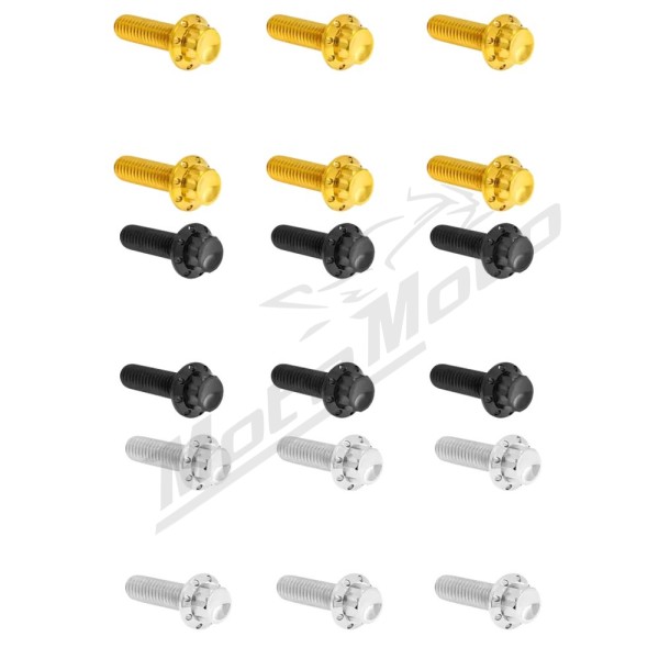 ARLEN NESS Transmission Top Cover Titanium 12-Point Bolt Kit 12pcs. M8