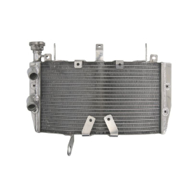 4Ride Radiator DUCATI MONSTER 821 2014-2016